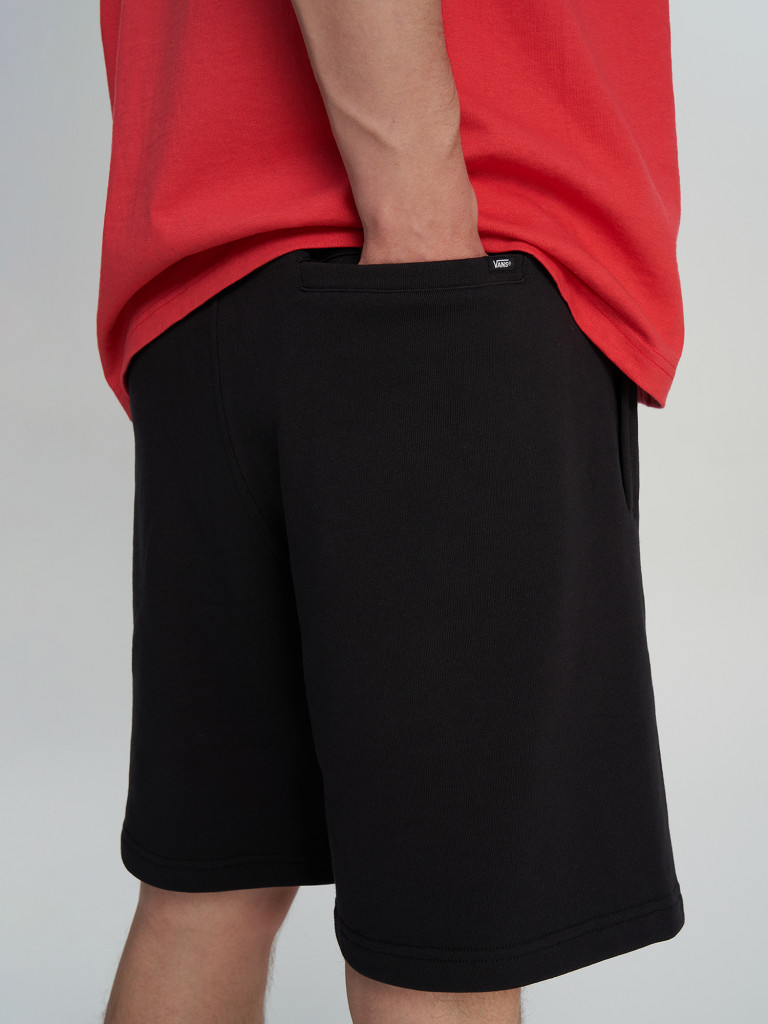 Шорты мужские Vans Blocked Box