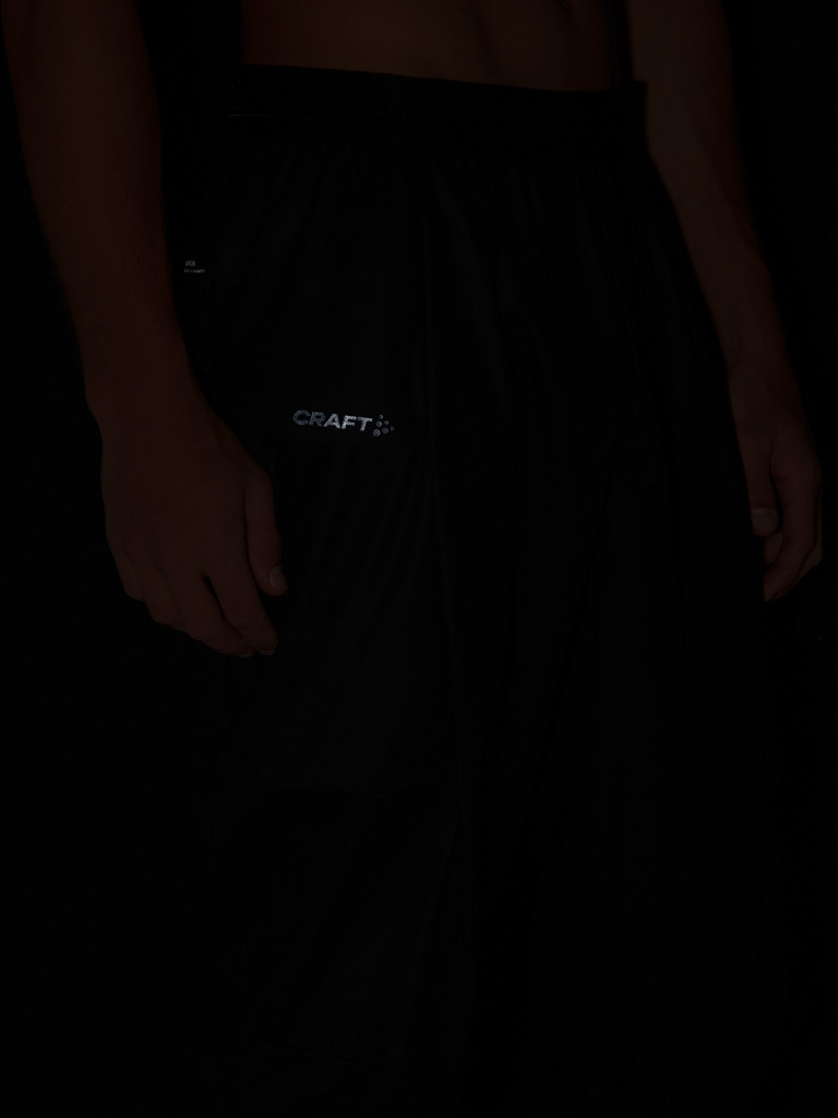 Брюки мужские Craft Pro Hydro Cargo