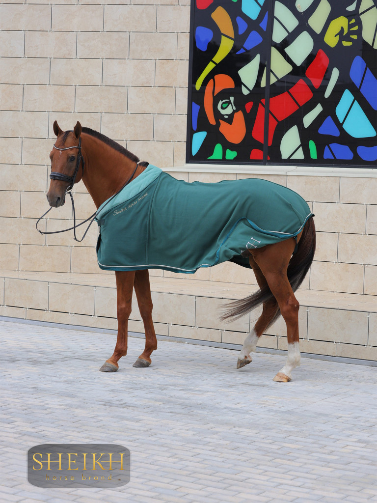 Попона флисовая для лошади, коллекция ОРИЕНТАЛ