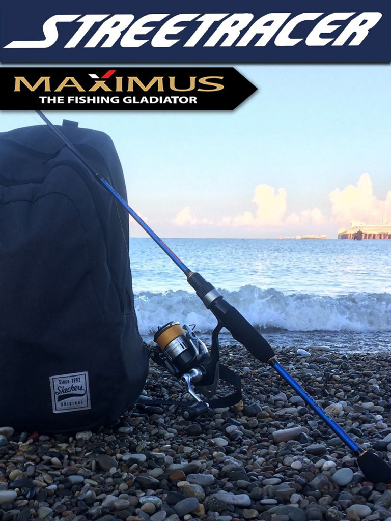 Спиннинг для рыбалки Maximus STREETRACER 19L 1,9m 3-12g твичинговое