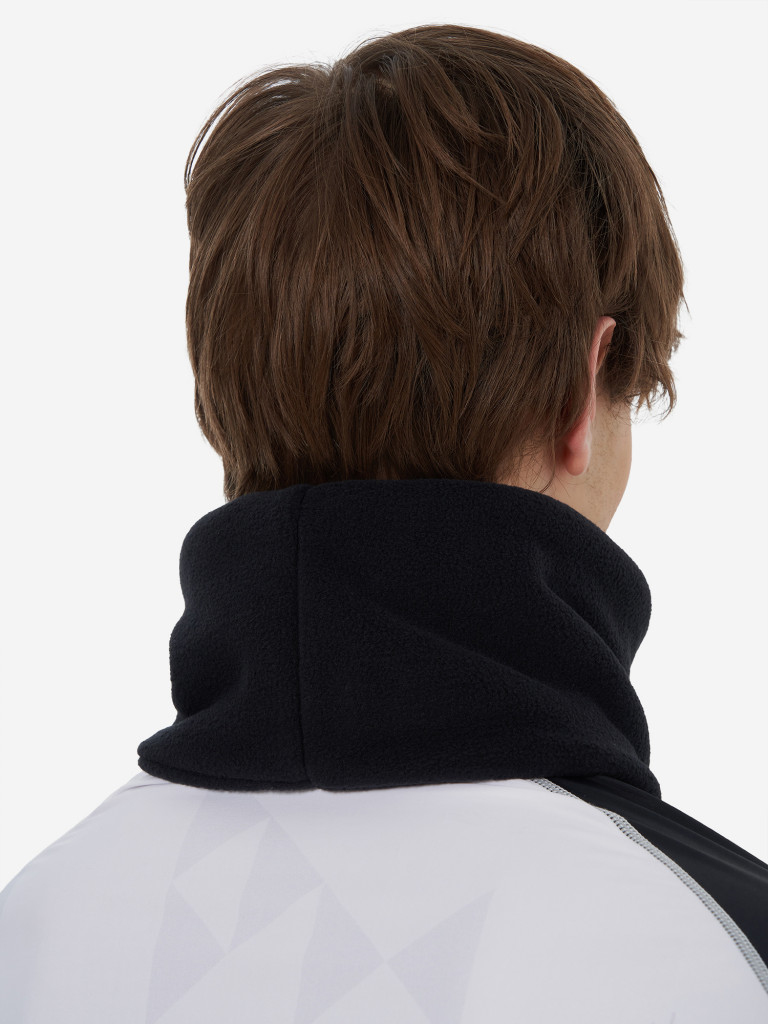 Гейтор Nordski