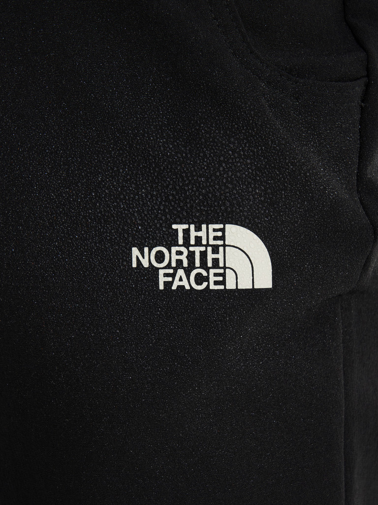 Брюки софтшелл женские The North Face Quest Softshell