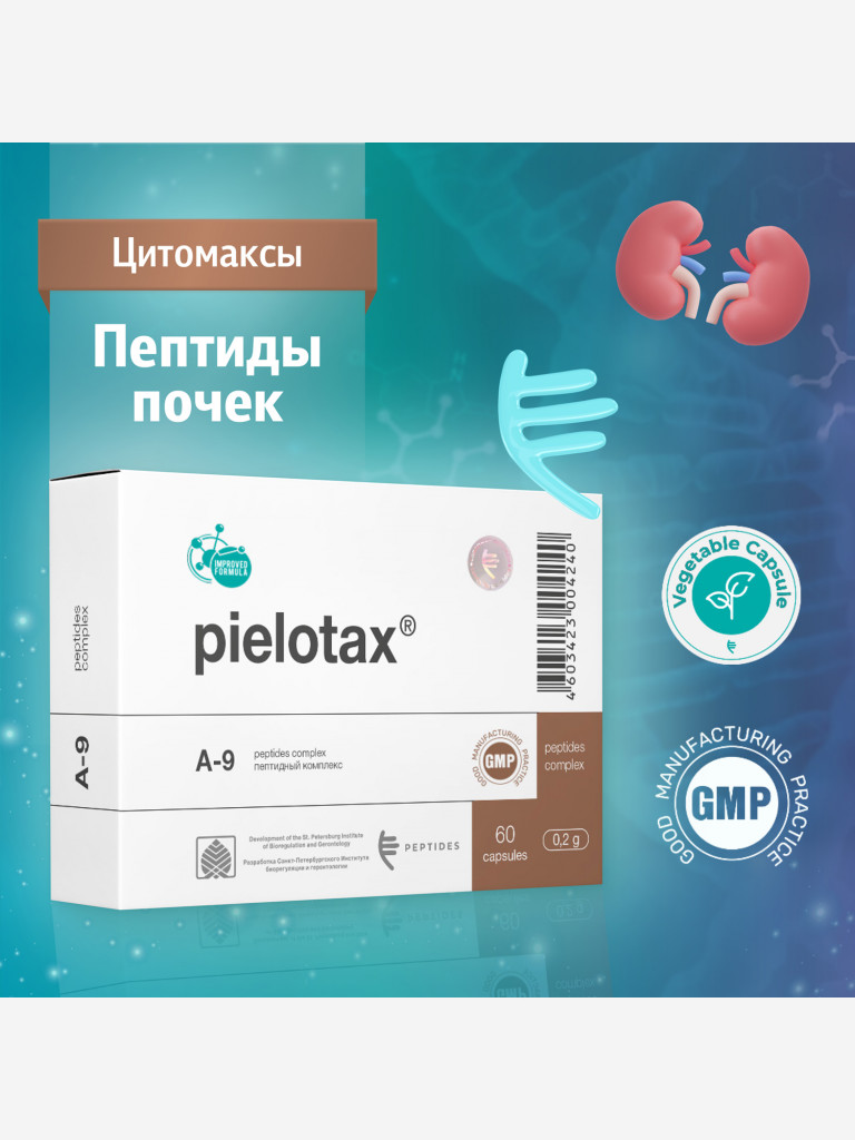 Пиелотакс 60 капсул - Натуральные пептиды почек