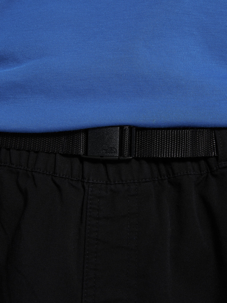 Брюки мужские The North Face Beta Utility Belted