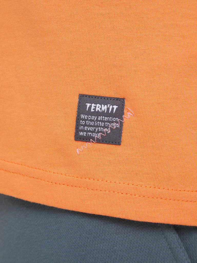 Футболка мужская Termit