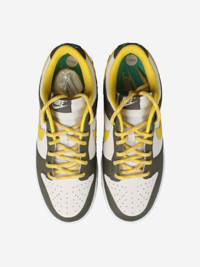 Кеды мужские Nike Dunk Low Retro
