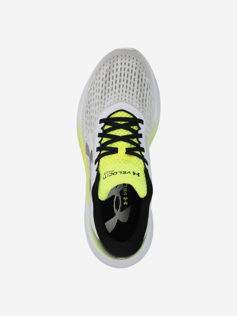 Кроссовки мужские Under Armour Vel Pace
