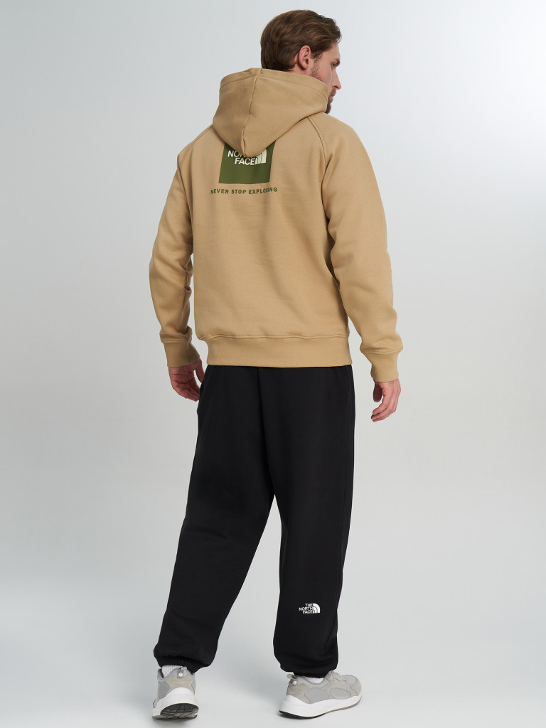 Худи мужское The North Face