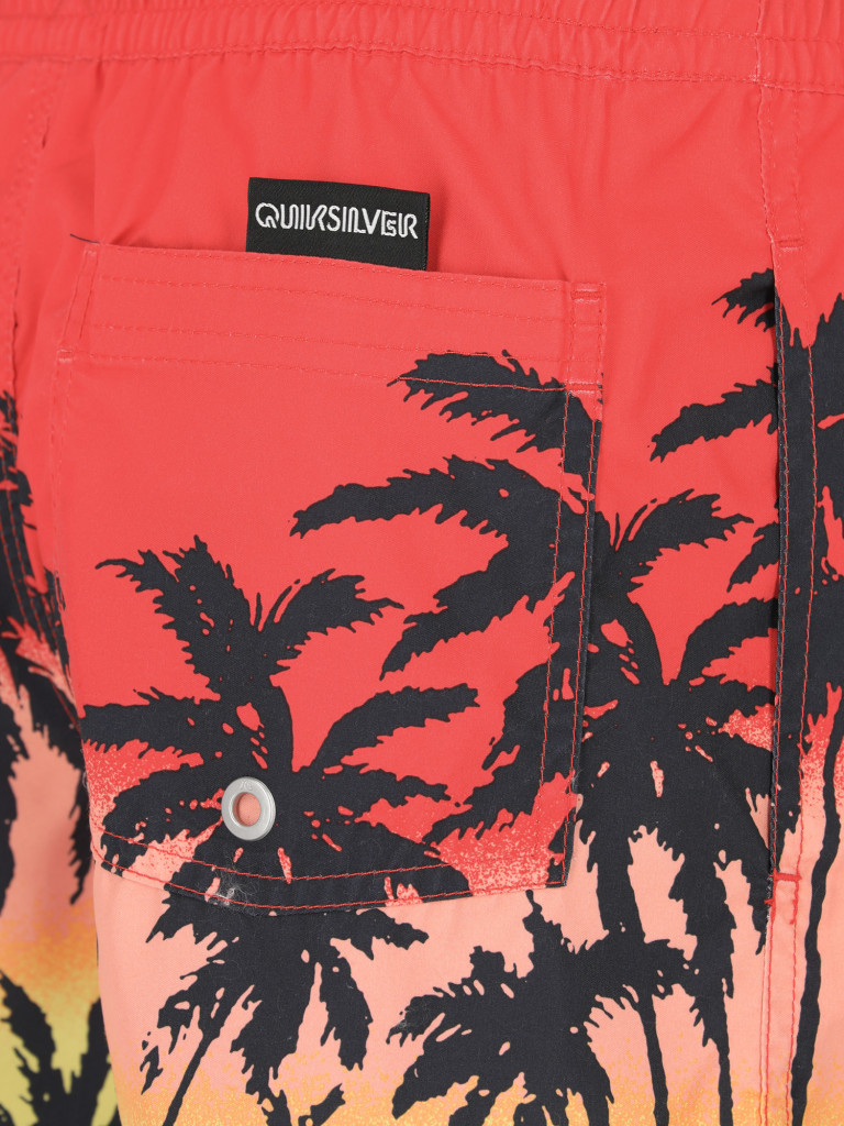 Шорты для мальчиков Quiksilver Paradise
