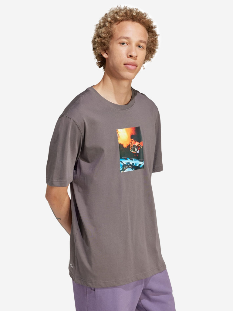 Футболка мужская Adidas Adi Pic Tee