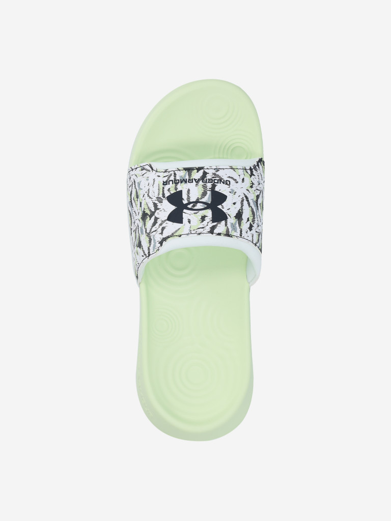 Шлепанцы женские Under Armour Ignite Select Graphic