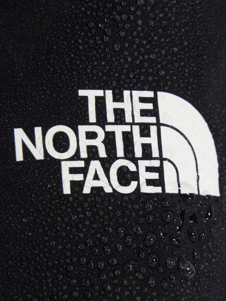 Брюки утепленные мужские The North Face Winter Exploration Reg