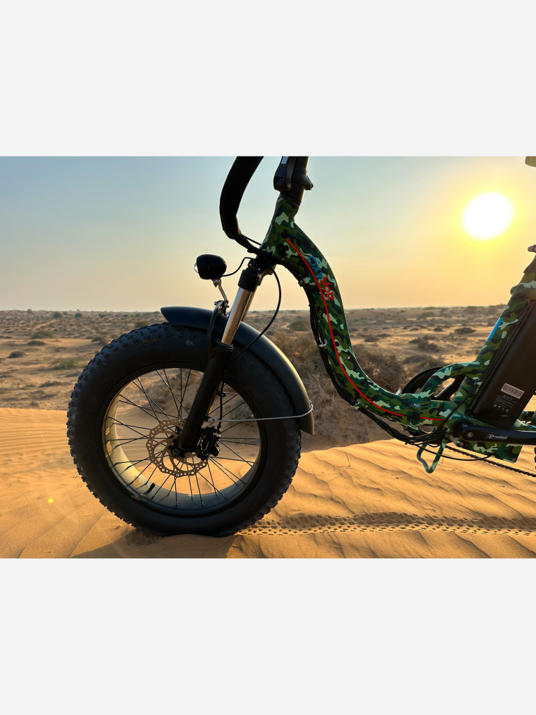 Электровелосипед OxyVolt "Low Fat Ranger" 750Вт, 48В, 20Ач, гидравлика, фэтбайк, складной, 20 дюймов, графит