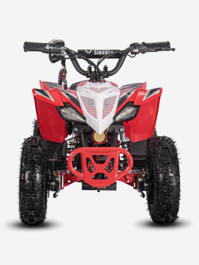 Детский электроквадроцикл White Siberia Sneg Leto R 1000W 36V 12Ah красный
