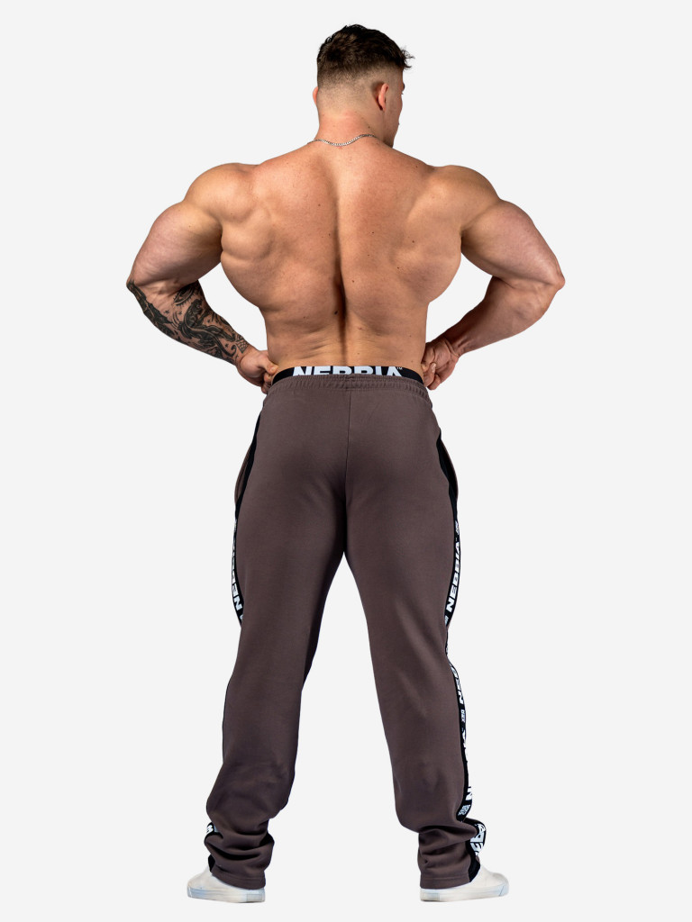 Брюки мужские спортивные NEBBIA Training Sweatpants HERO 296