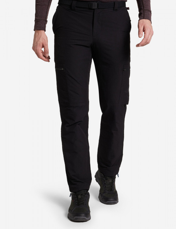Брюки утепленные мужские The North Face Winter Exploration Cargo