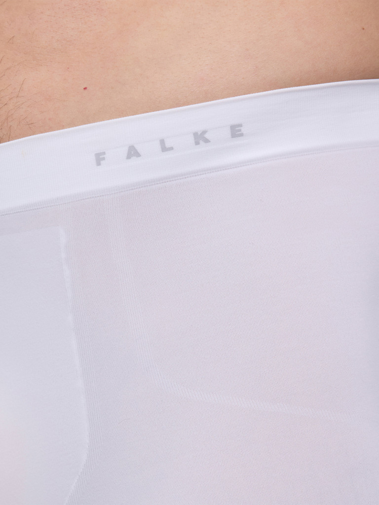 Мужские спортивные трусы FALKE