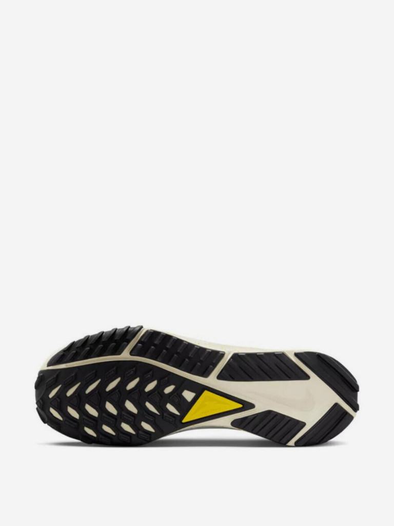 Кроссовки Nike Pegasus Trail 4 GORE-TEX