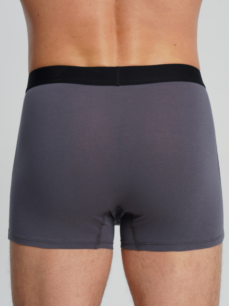 Трусы мужские Demix, 3 штуки