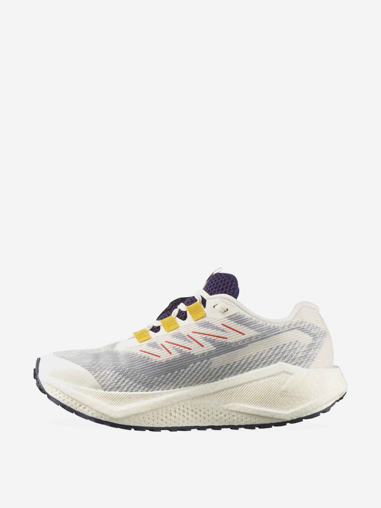 Кроссовки беговые Salomon Aero Blaze 3 GRVL GTX W