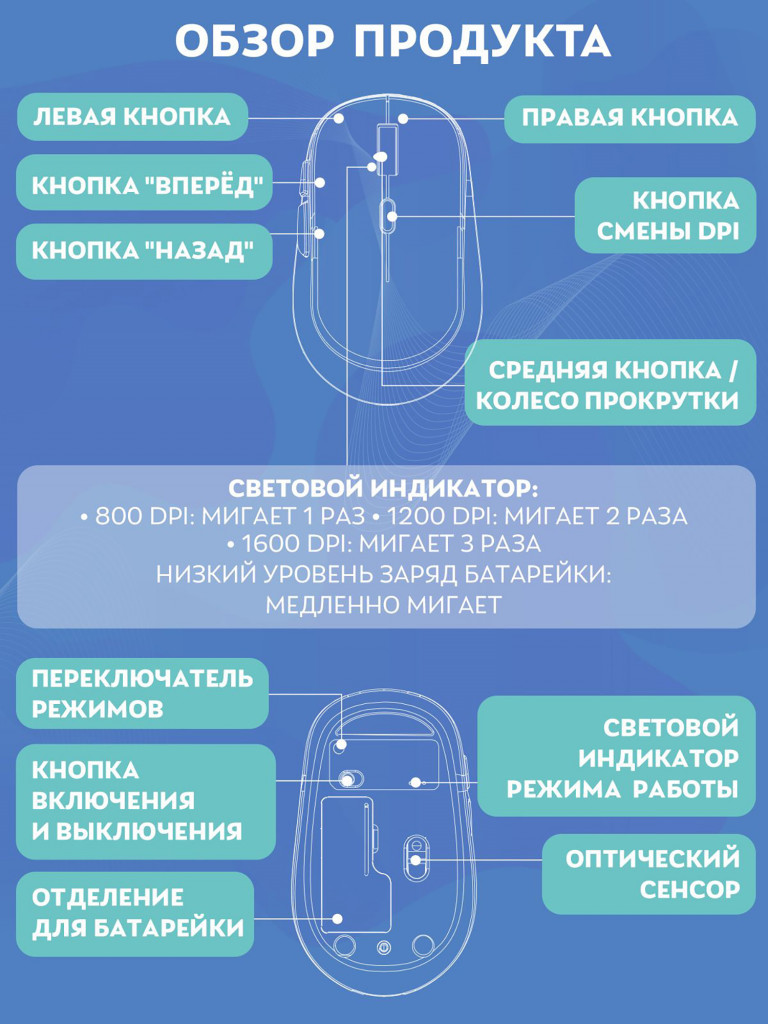 Мышь беспроводная Disney: Медведь Лотсо + коврик