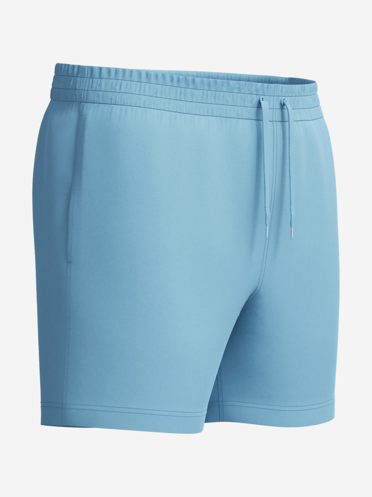 Шорты плавательные мужские Speedo Essentials