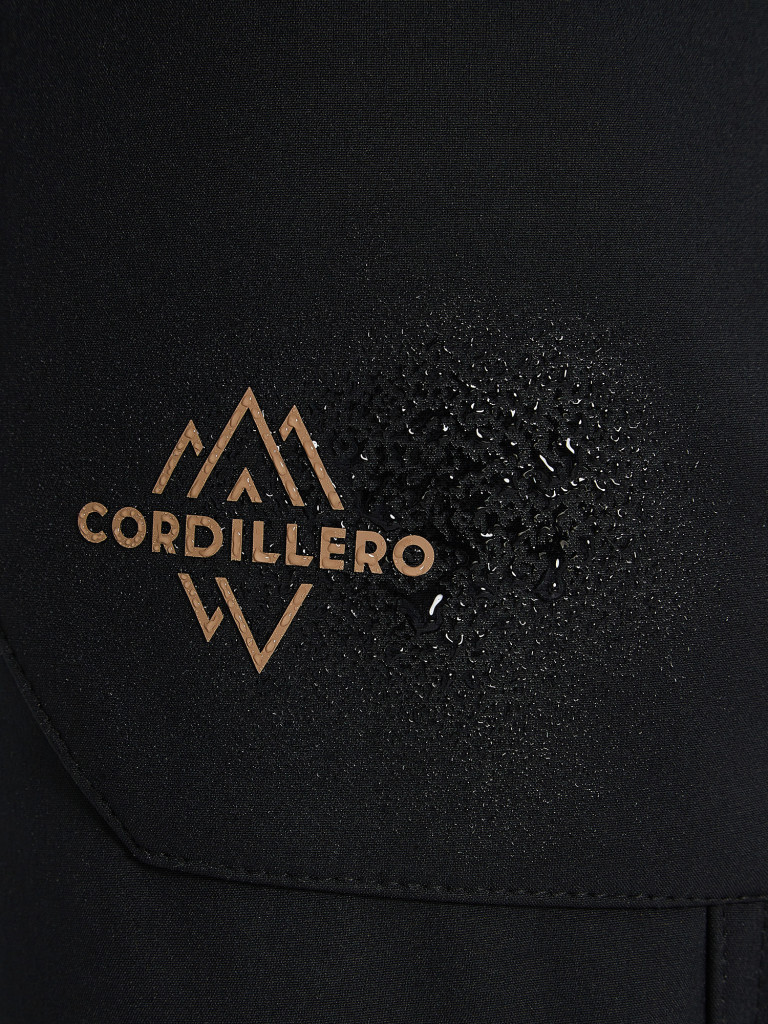 Брюки мужские Cordillero