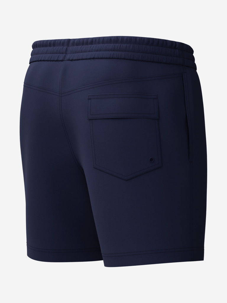 Шорты плавательные мужские Speedo Medley Logo