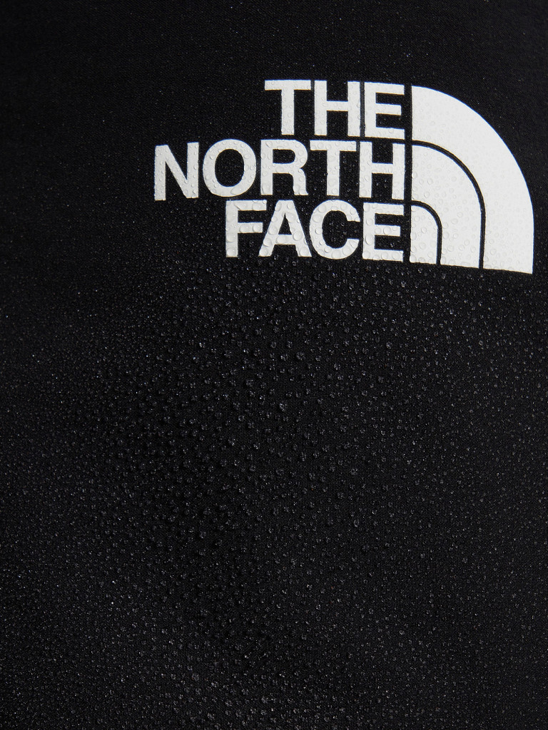 Брюки мужские The North Face Speedlight
