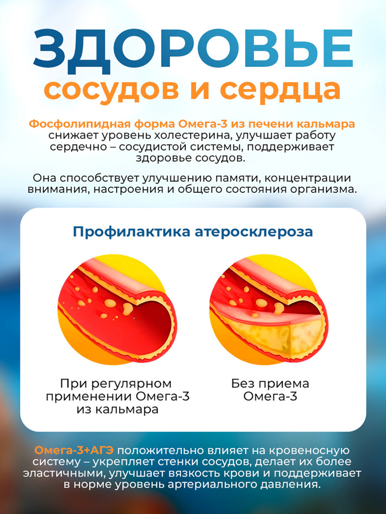 Омега 3 из печени кальмара с АГЭ комплексом, поддержка сердца и сосудов, для мозга, иммунитета и энергии, 1440 мг, 120 капсул / Доктор Море