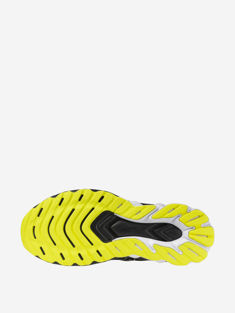 Кроссовки мужские Mizuno Wave Skyrise 6