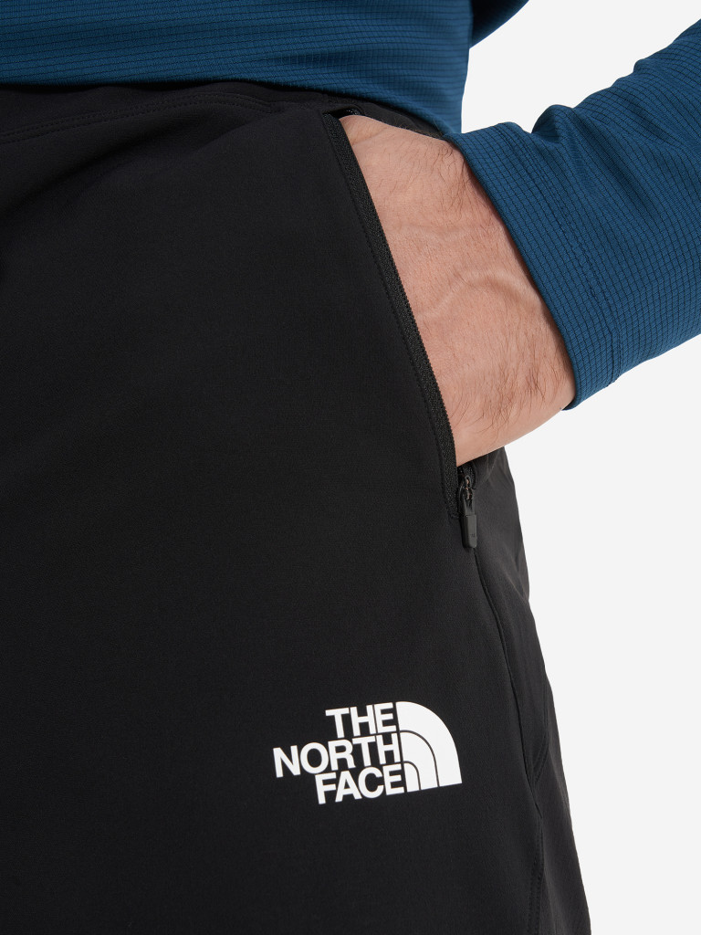 Брюки мужские The North Face Circadian