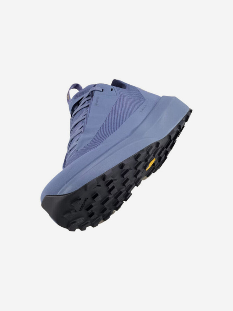 Кроссовки мужские Arc'teryx Norvan LD 4