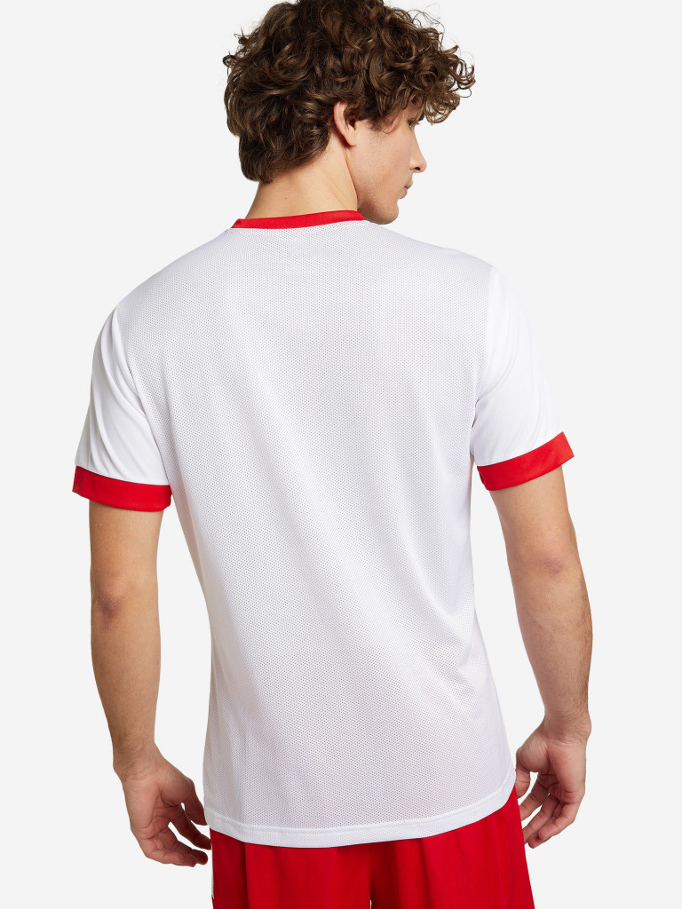 Футболка мужская PUMA teamGOAL 23 Jersey