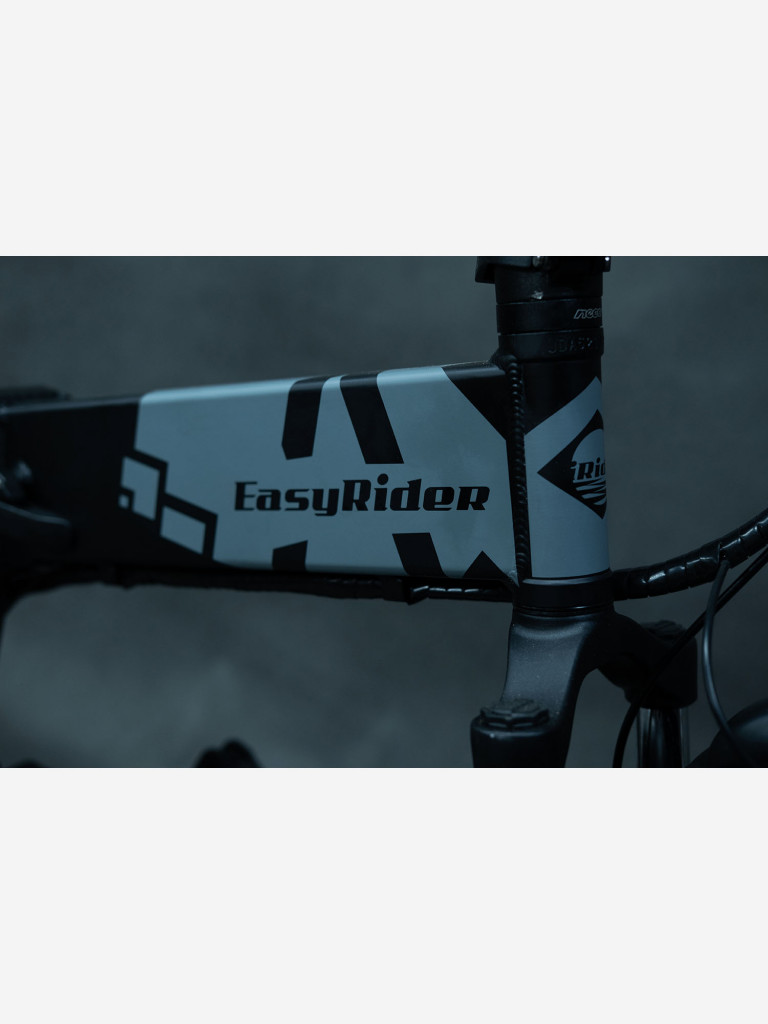 Электровелосипед EasyRider A-Type