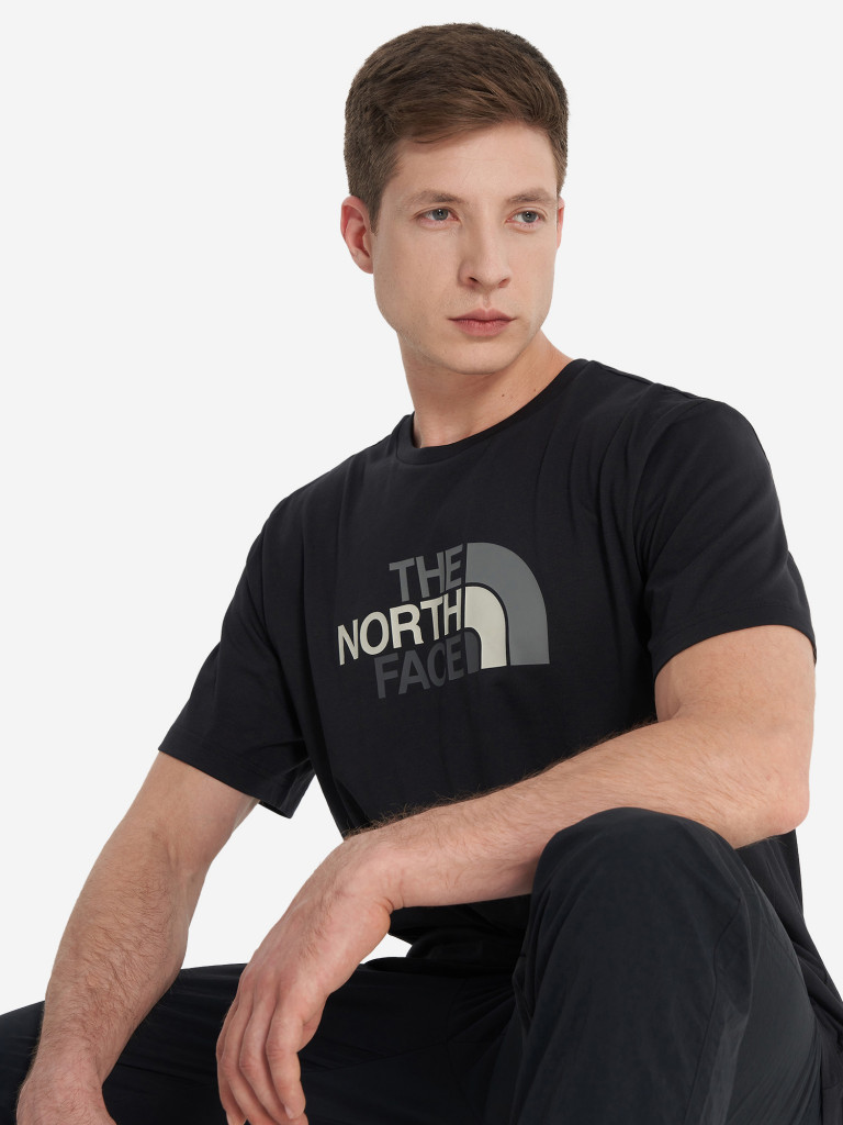 Футболка мужская The North Face Easy