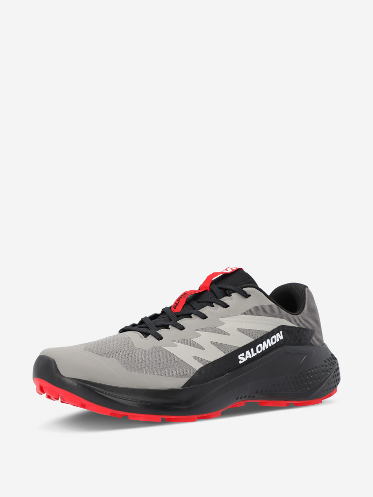 Кроссовки мужские Salomon Alphaglide