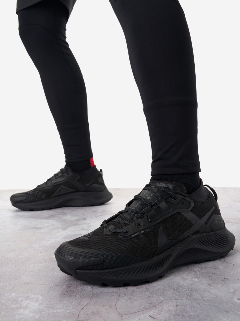 Кроссовки мужские Nike Pegasus Trail Gtx