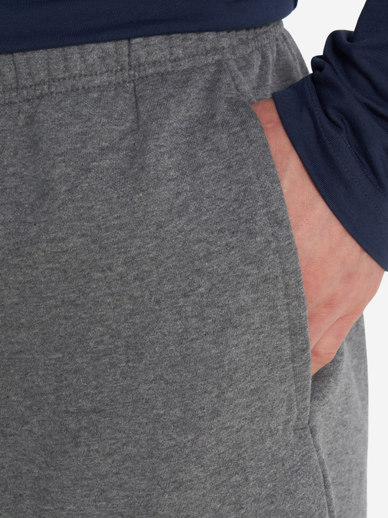 Брюки мужские The North Face Simple Dome