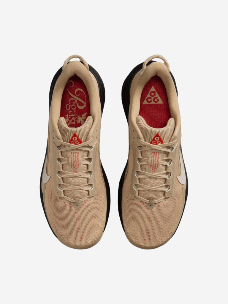 Кроссовки мужские Nike ACG Pegasus Trail