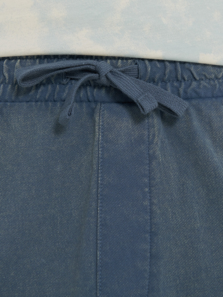 Шорты мужские Protest