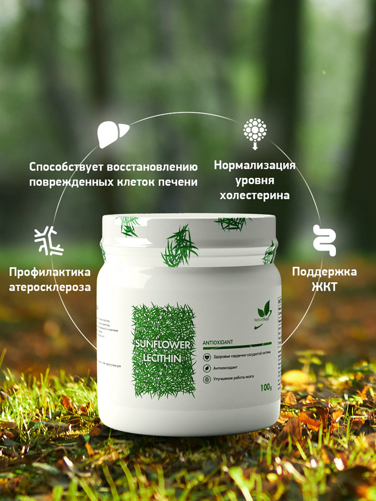 Подсолнечный лецитин, NaturalSupp, 100 гр