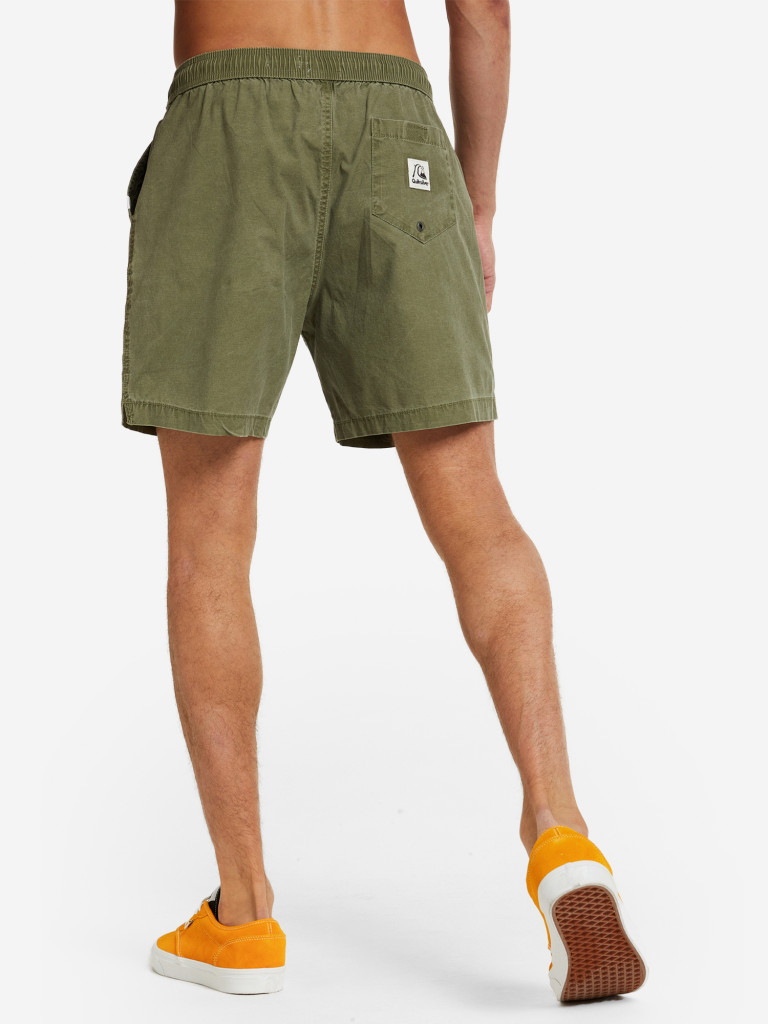 Шорты мужские Quiksilver Taxer