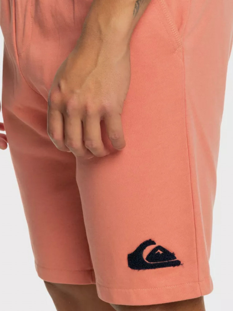 Шорты мужские QUIKSILVER Solid Volley