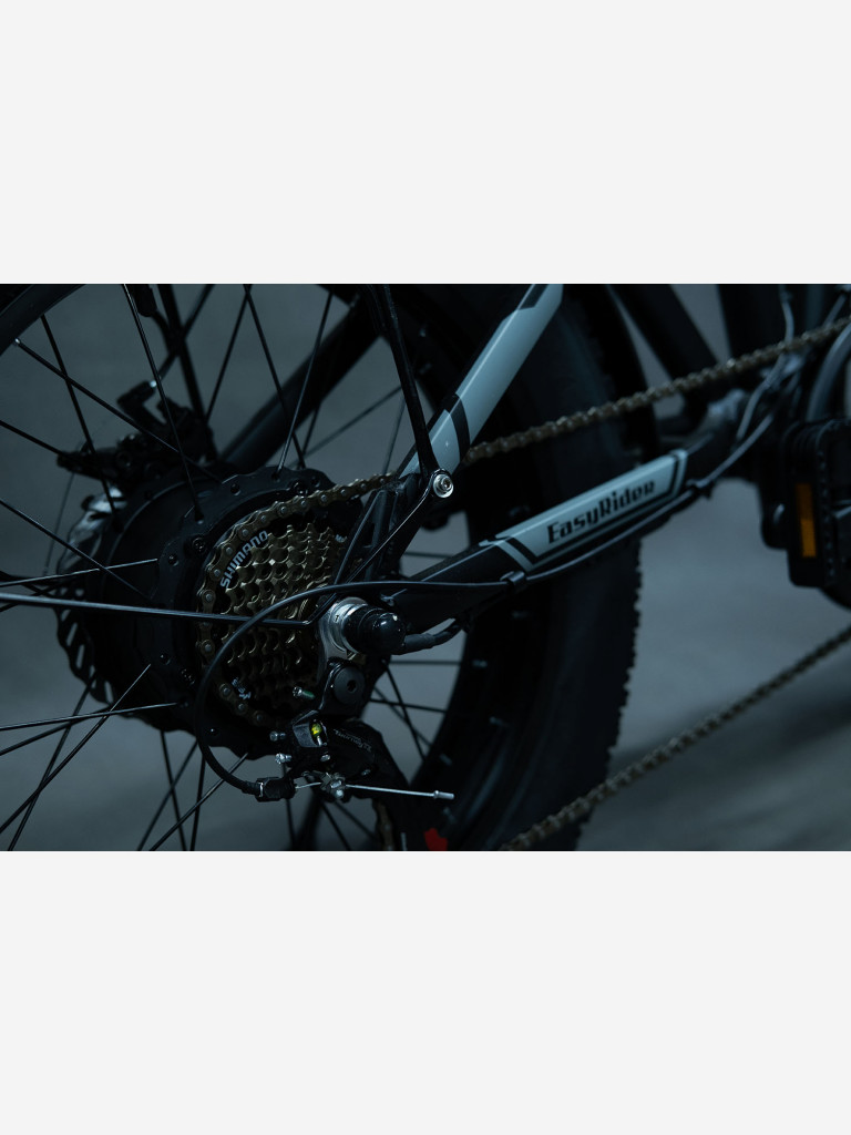 Электровелосипед EasyRider A-Type