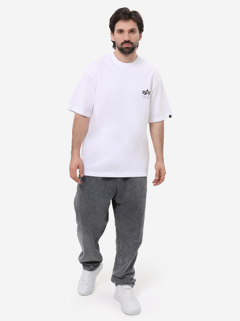 Футболка Garment Type Alpha Industries