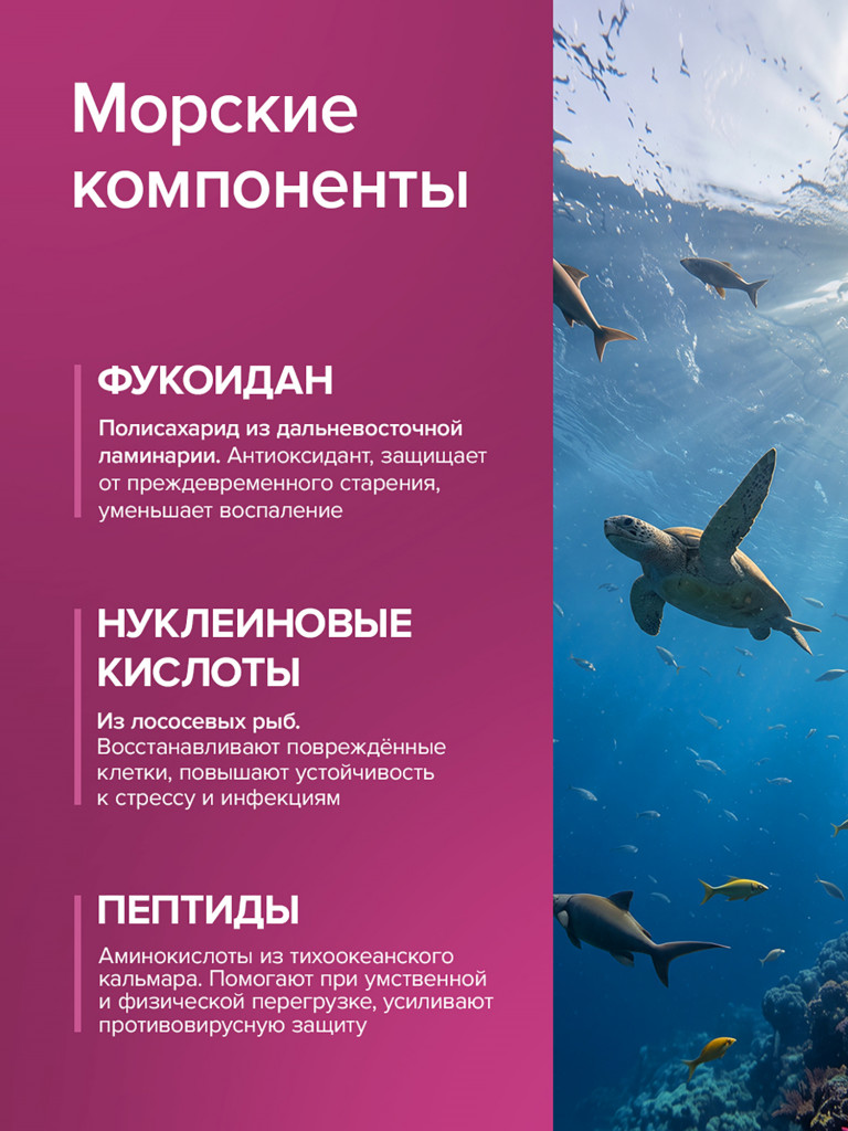 Мультивитамины для женщин, комплекс витаминов и минералов для энергии и красоты кожи, волос и ногтей, 60 капсул / Доктор Море