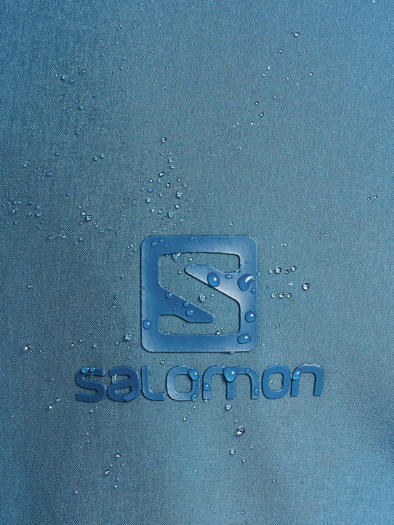 Брюки горнолыжные мужские Salomon Stance