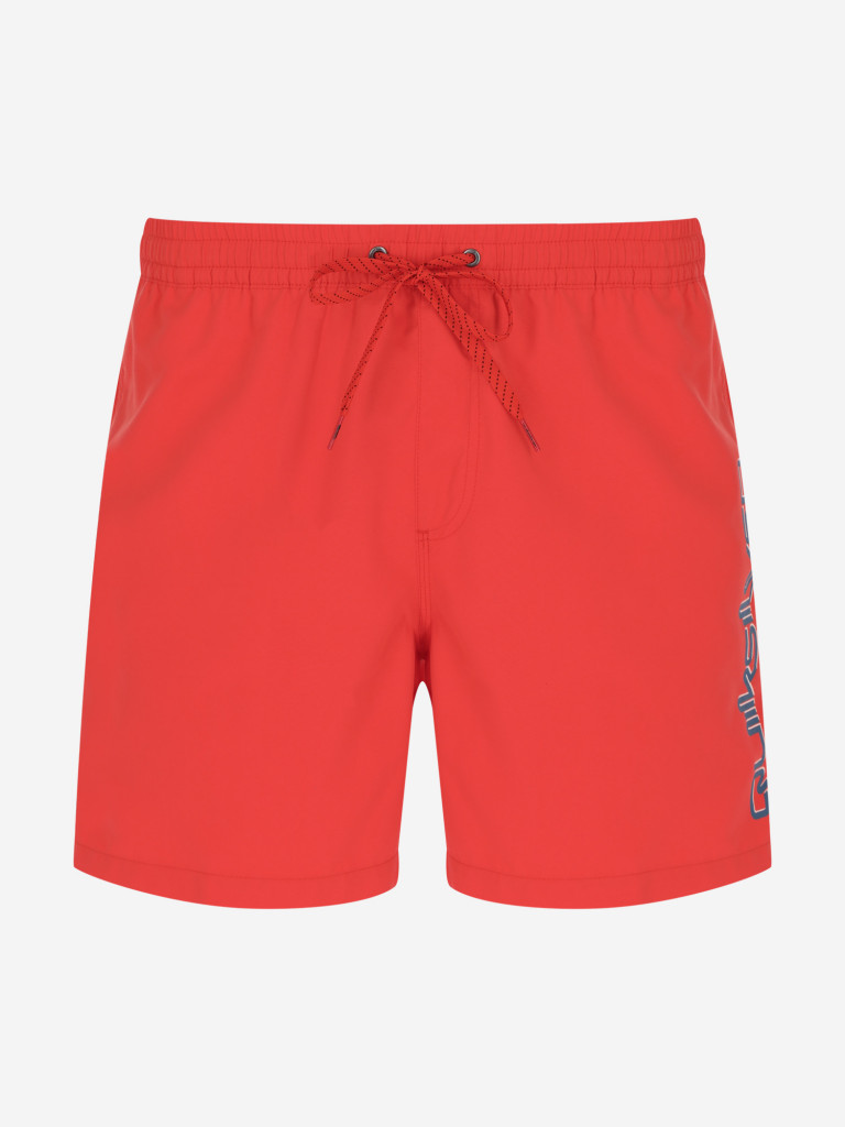 Шорты пляжные мужские Quiksilver Everyday Vert Volley