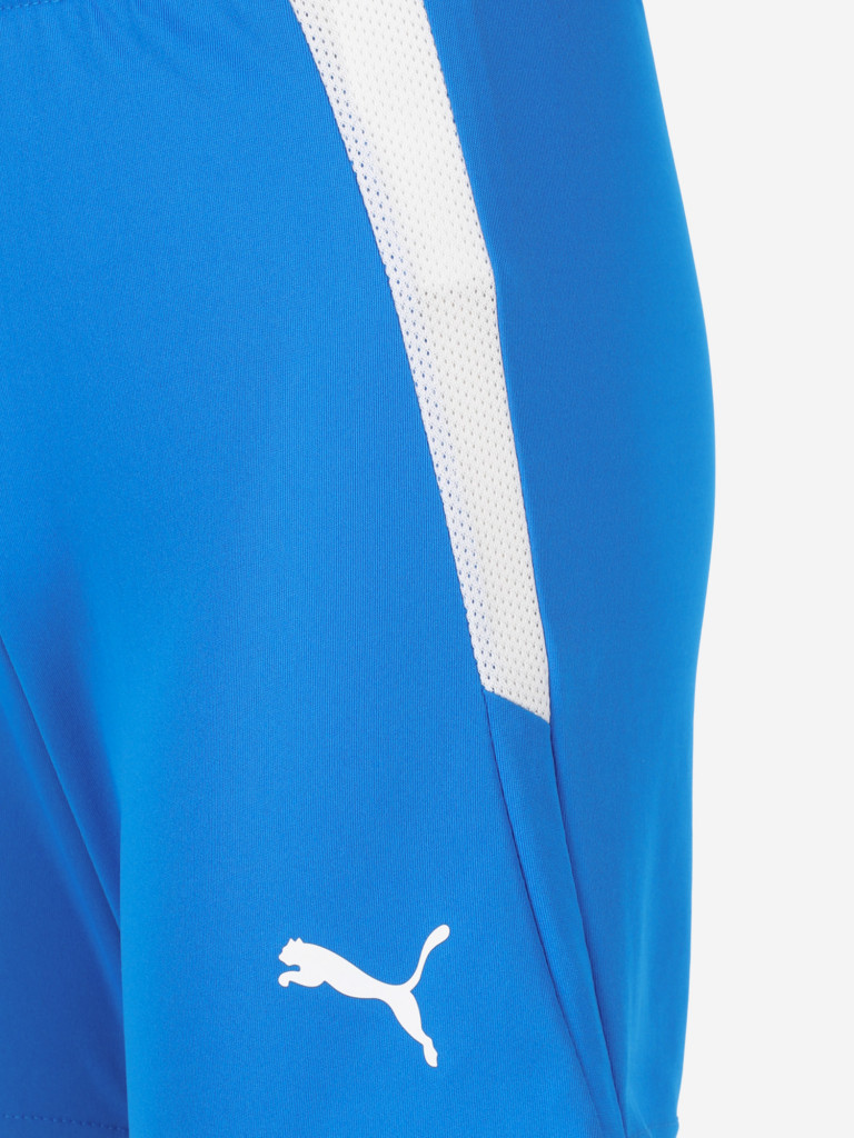 Шорты для мальчиков PUMA Teamliga Jr